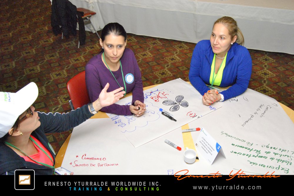 Team Building para fortalecer la Cultura Corporativa  El Caribe y USA Talleres de Cuerdas Bajas | Team Building Empresarial para el desarrollo de equipos de trabajo